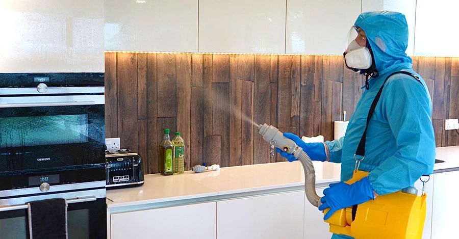 deep cleaning and fogging